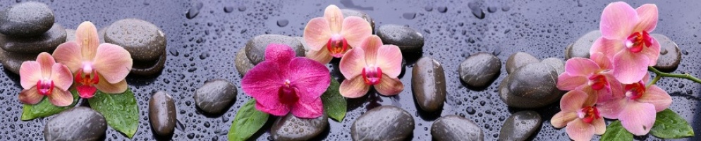 Интерьерная панель "Орхидеи после дождя"