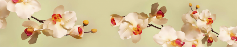 Интерьерная панель "Нежные орхидеи"